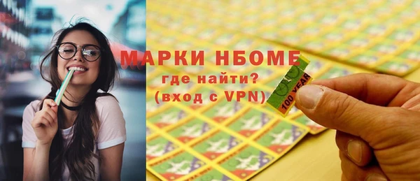 2c-b Инсар