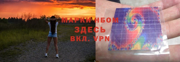 2c-b Инсар