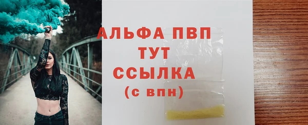 2c-b Инсар