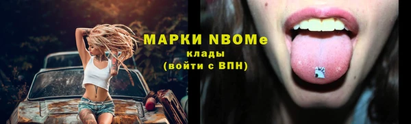 2c-b Инсар