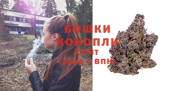 2c-b Инсар