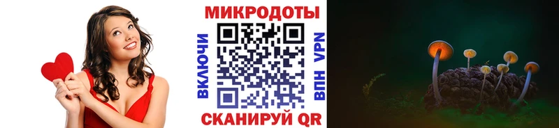 Купить закладки Кохма Галлюциногенные грибы Psilocybine cubensis